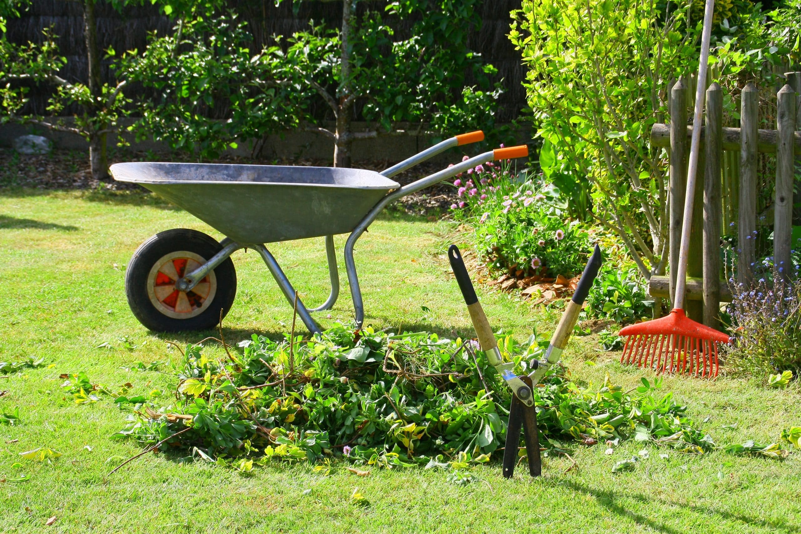 ADN Jardin